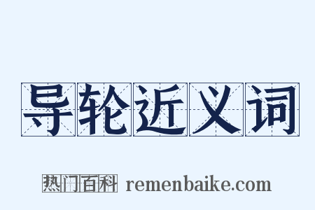 导轮近义词是什么意思的图片